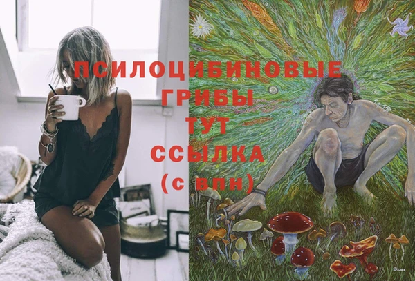 герыч Аркадак